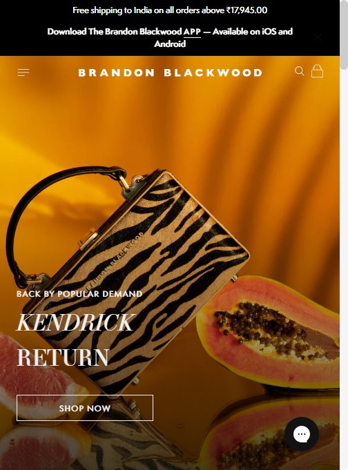Brandon Blackwood — Homepage (no popup fires after 8+ seconds)